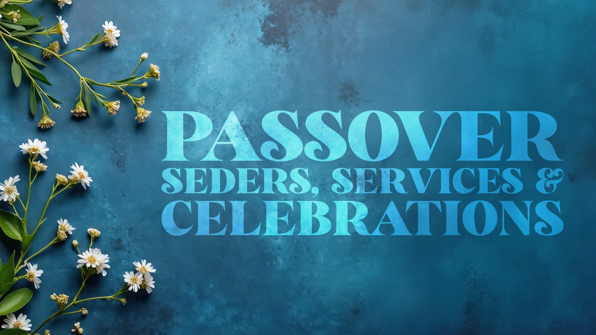 passover, seders, services, and celebrations web banner