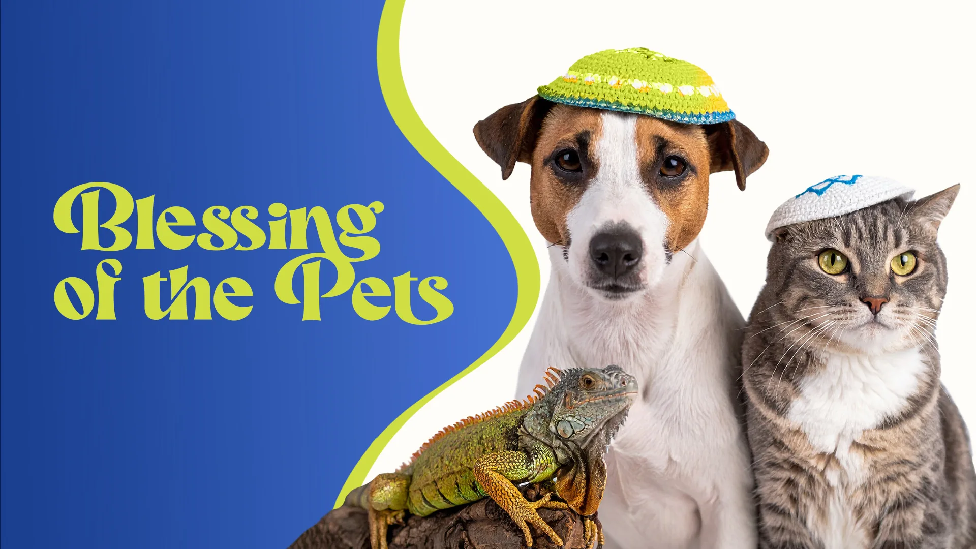 blessing of the pets web banner